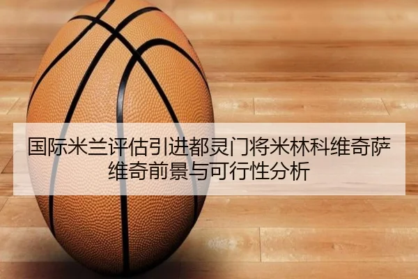 国际米兰评估引进都灵门将米林科维奇萨维奇前景与可行性分析