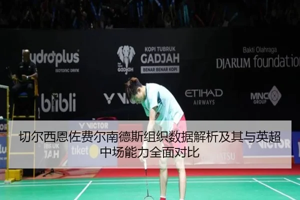 切尔西恩佐费尔南德斯组织数据解析及其与英超中场能力全面对比